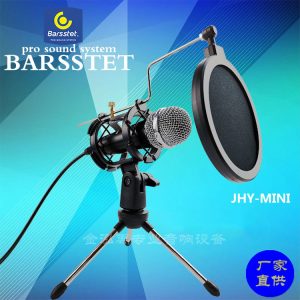 Condenser microphone plug and play home studio microphone recording mobile computer podcast mini desktop