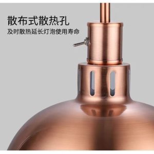 Zhengbo single head food telescopic insulation lamp buffet lift food insulation lamp food pizza heating chandelier