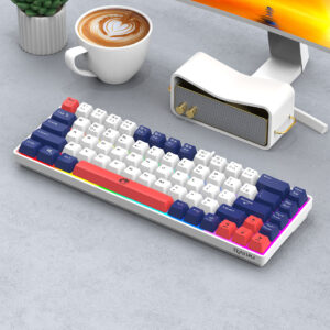 Lei Kui K68 dual color matching 68 keys gaming competition office notebook gaming usb wired keyboard cross-border