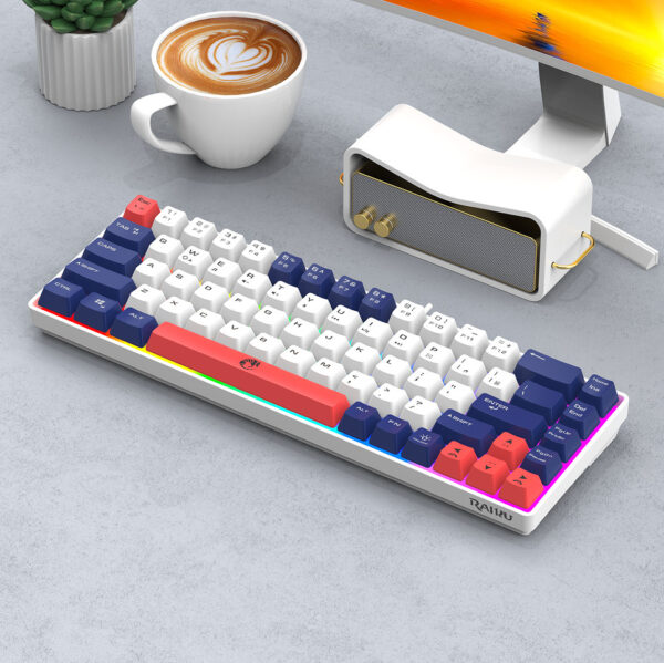 Lei Kui K68 dual color matching 68 keys gaming competition office notebook gaming usb wired keyboard cross-border