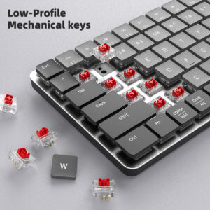 CX40 Bluetooth Dual-Mode Ultra-Slim Low Profile Chocolate Keycaps RGB Business Gaming Low Noise Red Switch Mechanical Keyboard