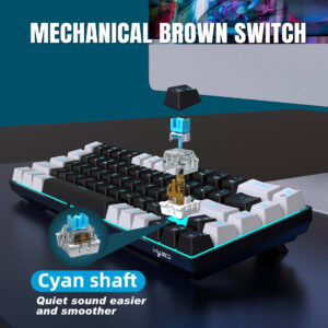 New 68 key wired mechanical gaming keyboard hot swap blue switch engineering two-color injection keycaps ice blue light