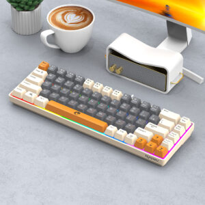 Lei Kui K68 dual color matching 68 keys gaming competition office notebook gaming usb wired keyboard cross-border