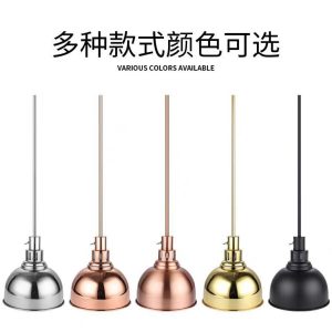 Zhengbo single head food telescopic insulation lamp buffet lift food insulation lamp food pizza heating chandelier
