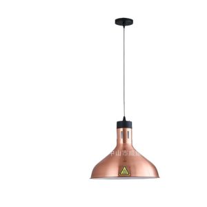 Food heating insulation chandelier, food insulation supermarket store, dry goods, nuts, stretch lifting, adjustable chandelier, stir-fry