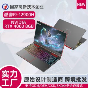 Glasses-free 3D computer, 4060 e-sports gaming laptop, 8GB exclusive display, core I912900H laptop