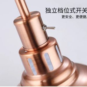 Zhengbo single head food telescopic insulation lamp buffet lift food insulation lamp food pizza heating chandelier