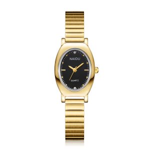 New oval fashion luxury watch alloy decoration simple cross-border foreign trade wholesale women's watch