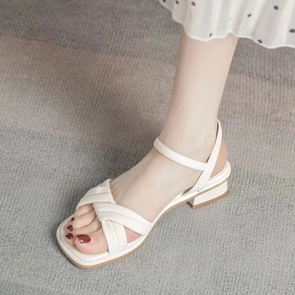 Spot low-heeled sandals women's 2024 summer new fashion thick heel temperament fairy style with skirt French high heels