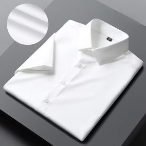 Summer Interview Work Short Sleeve Shirt Men's Business Formal Wear Bottom Layer Student Slightly Loose Shirt High Quality Top