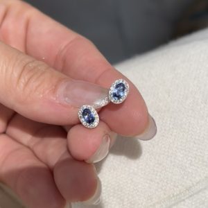 Super flash ~ French red rope cornflower sapphire stud earrings for women, delicate niche high-end earrings, light luxury temperament earrings