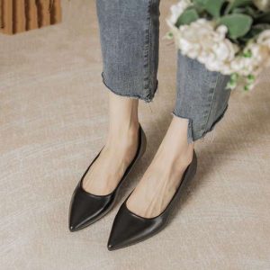 Spring and Autumn Daily Business 2025 New Pointed Toe Elegance Goddess Low Heel Soft Sole Shoes 3cm Cat Heel Shoes