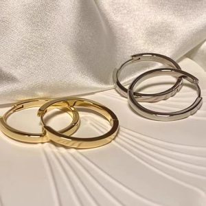 2023 new simple temperament earrings, high-end Internet celebrities, the same earrings, anti-allergic, exquisite foreign ear jewelry