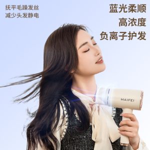 Hair dryer Internet celebrity explosive home hotel hair salon cross-border hair dryer manufacturer wholesale blue light negative ion cold and warm cutting