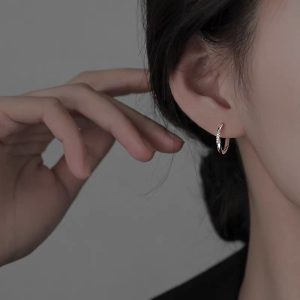 925 silver needle plain ring earrings women's 2025 new popular niche design high-end earrings light luxury earrings