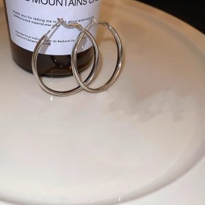 French Metal Circle Earrings Plain Ring Earrings 2024 New Trendy Niche Design Sense Unique Temperament Earrings Women