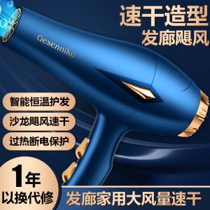 New barber shop constant temperature high wind power hair dryer blue light fast drying hair care high power household hair dryer batch hair