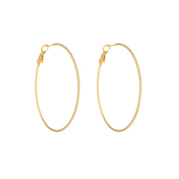 French thin earrings women's stainless steel earrings multi-size large earrings exaggerated ins style European and American cross-border high-end sense - Image 5