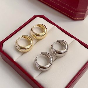 Water drop earrings, women's niche design, light luxury, high-end temperament, simple French fashion circles, ins-style earrings