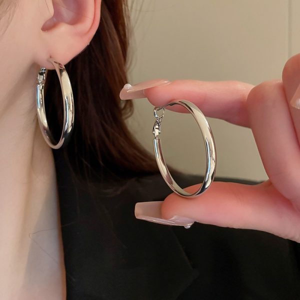 French Metal Circle Earrings Plain Ring Earrings 2024 New Trendy Niche Design Sense Unique Temperament Earrings Women
