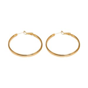 French Metal Circle Earrings Plain Ring Earrings 2024 New Trendy Niche Design Sense Unique Temperament Earrings Women
