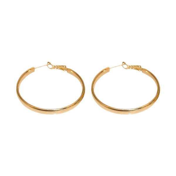 French Metal Circle Earrings Plain Ring Earrings 2024 New Trendy Niche Design Sense Unique Temperament Earrings Women - Image 5