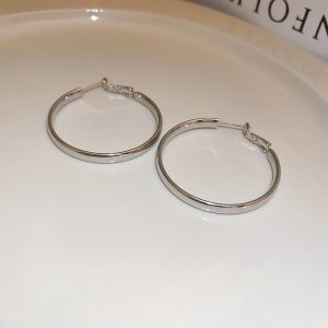 French Metal Circle Earrings Plain Ring Earrings 2024 New Trendy Niche Design Sense Unique Temperament Earrings Women