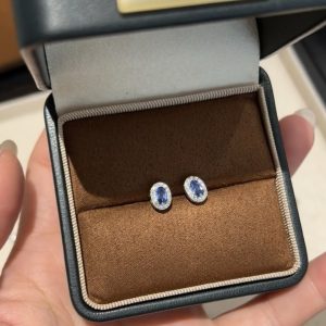 Super flash ~ French red rope cornflower sapphire stud earrings for women, delicate niche high-end earrings, light luxury temperament earrings