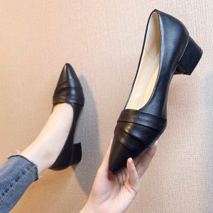 Women's business heel shoes pointed toe mid-heel small leather shoes four seasons new elegant formal fashion women's shoes pleated line