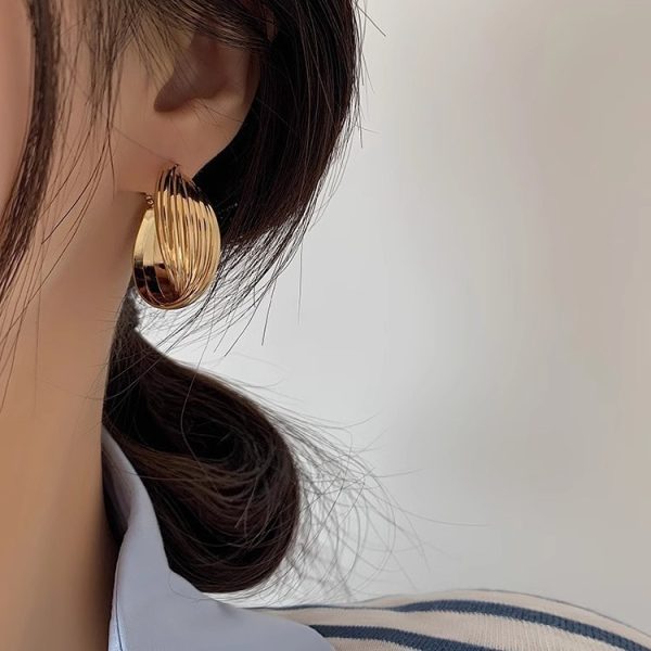 S925 silver needle French vintage metal earrings women's niche design high-end Hong Kong style twisted earrings versatile earrings - Image 4