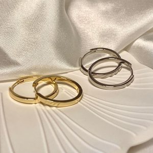 French hoop ear buckle ear ring women's ins cold wind plain ring earrings niche design photosensitive earrings wholesale