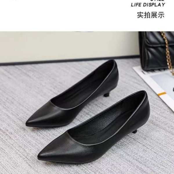 Spring and Autumn Daily Business 2025 New Pointed Toe Elegance Goddess Low Heel Soft Sole Shoes 3cm Cat Heel Shoes - Image 2