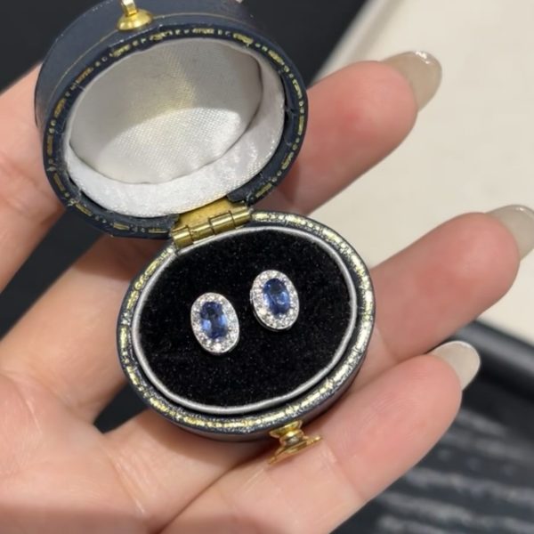 Super flash ~ French red rope cornflower sapphire stud earrings for women, delicate niche high-end earrings, light luxury temperament earrings - Image 2