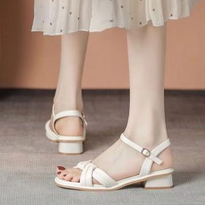 Spot low-heeled sandals women's 2024 summer new fashion thick heel temperament fairy style with skirt French high heels