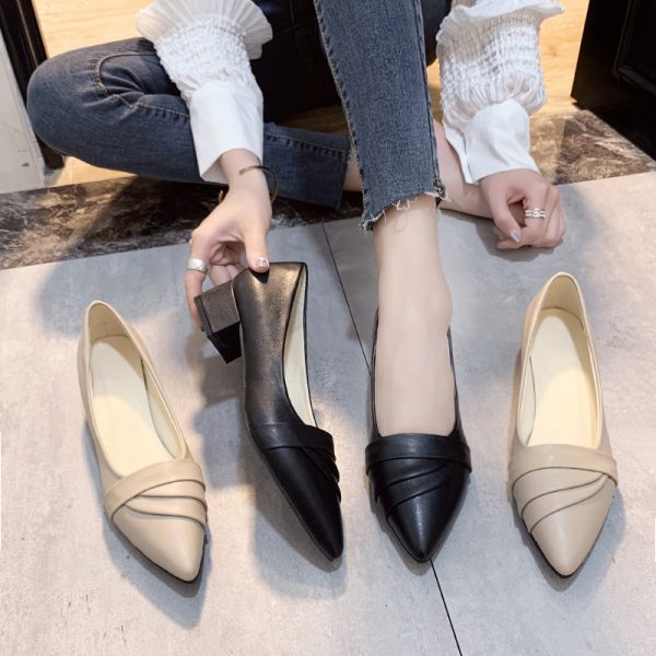 Women's business heel shoes pointed toe mid-heel small leather shoes four seasons new elegant formal fashion women's shoes pleated line - Image 2