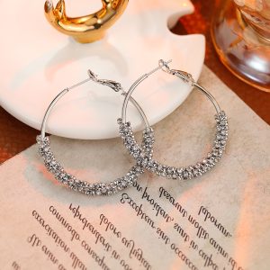 Earrings for women S925 silver needle micro-inlaid zircon earrings French fashion earrings light luxury high-end earrings wholesale women