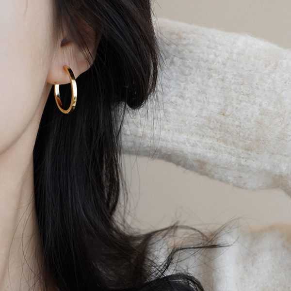 French hoop ear buckle ear ring women's ins cold wind plain ring earrings niche design photosensitive earrings wholesale - Image 5