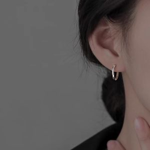925 silver needle plain ring earrings women's 2025 new popular niche design high-end earrings light luxury earrings