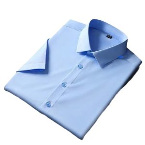 Summer Interview Work Short Sleeve Shirt Men's Business Formal Wear Bottom Layer Student Slightly Loose Shirt High Quality Top