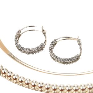 Earrings for women S925 silver needle micro-inlaid zircon earrings French fashion earrings light luxury high-end earrings wholesale women