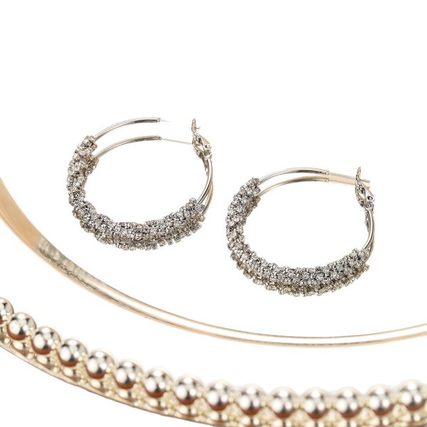 Earrings for women S925 silver needle micro-inlaid zircon earrings French fashion earrings light luxury high-end earrings wholesale women - Image 5