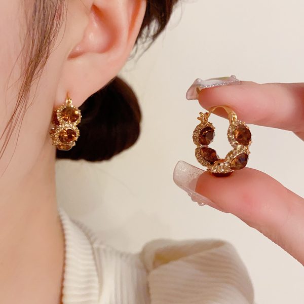 French retro temperament, Hong Kong style, exquisite zircon circle earrings, niche design, light luxury, high-end fashion earrings, women