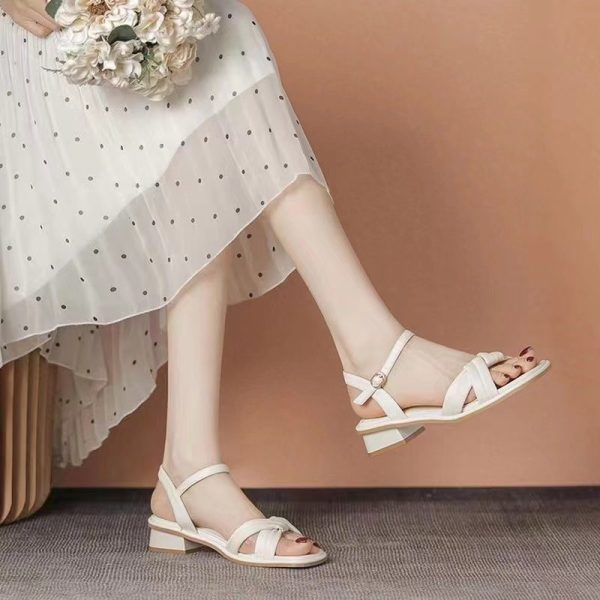 Spot low-heeled sandals women's 2024 summer new fashion thick heel temperament fairy style with skirt French high heels - Image 4