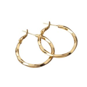 Mobius Earrings Circle 2025 New Plain Circle Earrings Women's Light Luxury High-end Temperament Earrings Nordic Retro