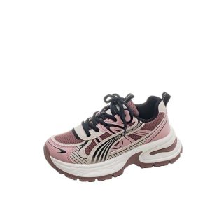 2025 spring/summer new student mesh breathable dad shoes women's Korean version of ins trendy street shooting retro platform sneakers