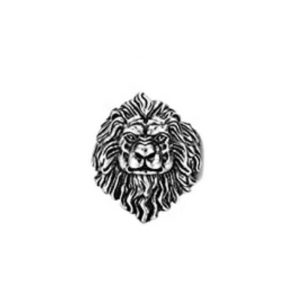 Cross-border hot sale punk style rings, domineering personality, men's lion head, skull, wolf head, leopard head, Buddha face ring