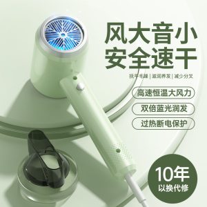 Manufacturer wholesale Internet celebrity high-speed negative ion quick-drying hair dryer cold and hot alternate silent cross-border hair dryer