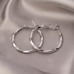 Mobius Earrings Circle 2025 New Plain Circle Earrings Women's Light Luxury High-end Temperament Earrings Nordic Retro