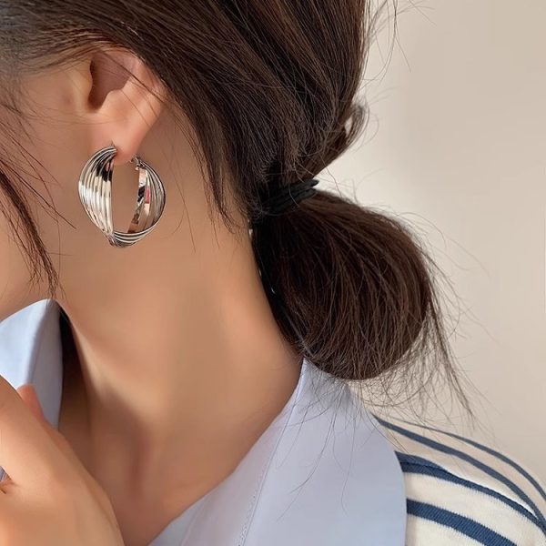 S925 silver needle French vintage metal earrings women's niche design high-end Hong Kong style twisted earrings versatile earrings - Image 2