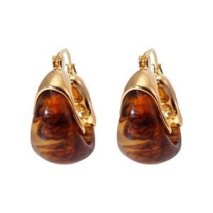 Maillard earrings, fashionable temperament, French amber earrings, light luxury, luxury, high-end sense of autumn and winter, European and American retro coffee earrings